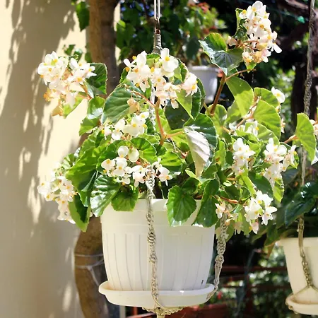 Appartement With Parking Space - Peljesac - 4532 Orebić