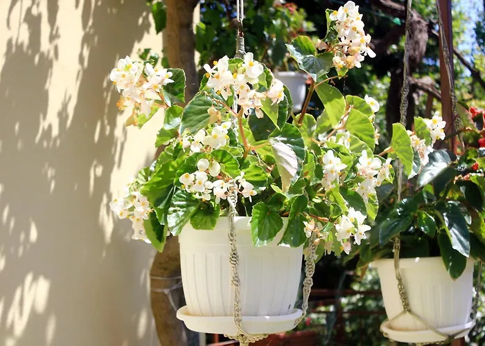 Appartamento With Parking Space - Peljesac - 4532 Orebić